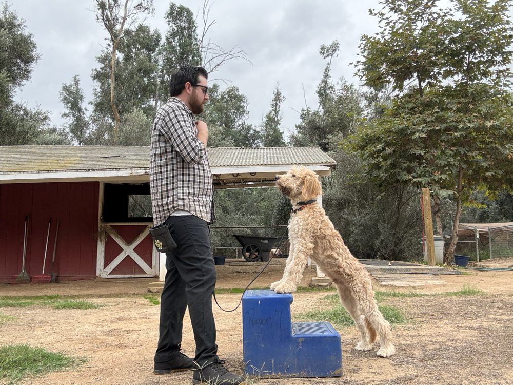 CANINE CONNECTIONS TRAINING Updated September 2024 Fallbrook