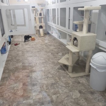 Happy Cats Retreat - Beautiful cat boarding facility! - Pet Boarding Near Me - Apex, North Carolina Happy Cats Retreat - Beautiful cat boarding facility! - Pet Boarding Near Me - Apex, North Carolina