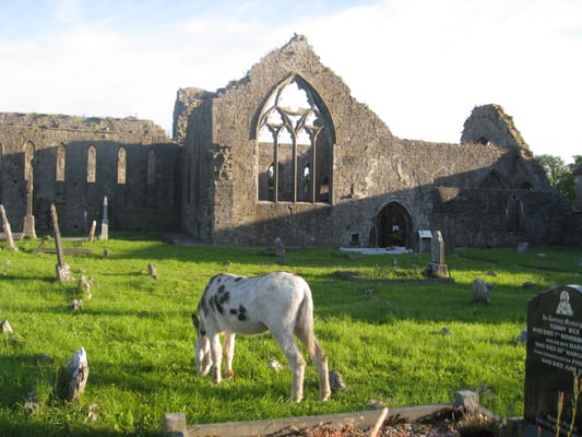 Athenry Castle by null