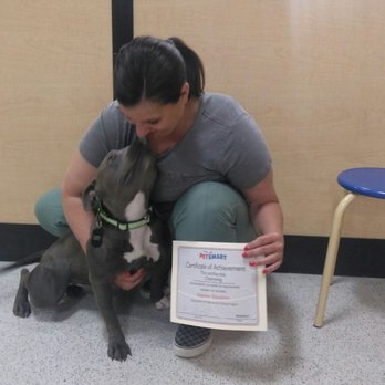 PetSmart Dog Training - 6 weeks down, 18 to go for her therapy training! - Pet Stores Near Me - Reno, Nevada PetSmart Dog Training - 6 weeks down, 18 to go for her therapy training! - Pet Stores Near Me - Reno, Nevada