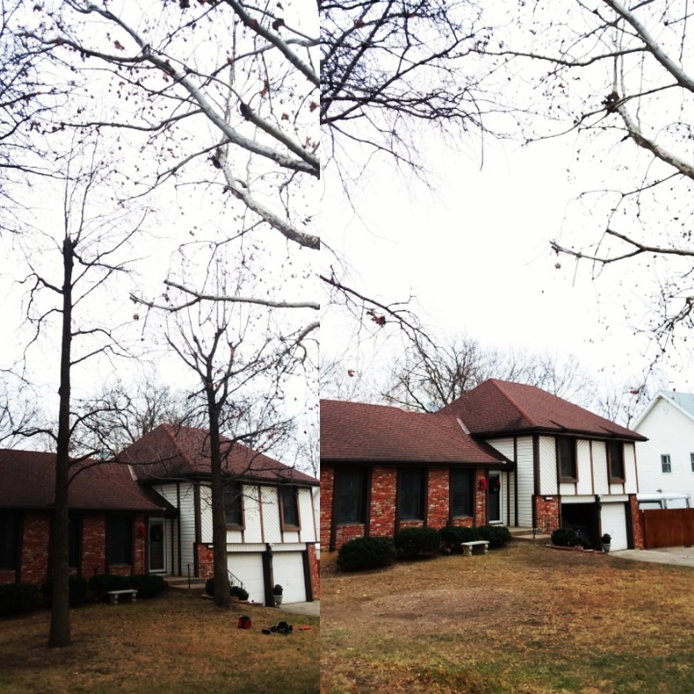 Arbest Tree Service - tree service in Kansas City, MO