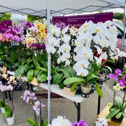 Pasadena Farmers Market