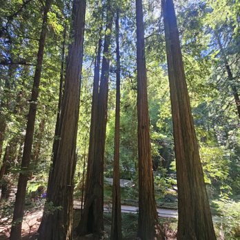 Dylan's Tours - Wine Tours Near Me - San Francisco, California