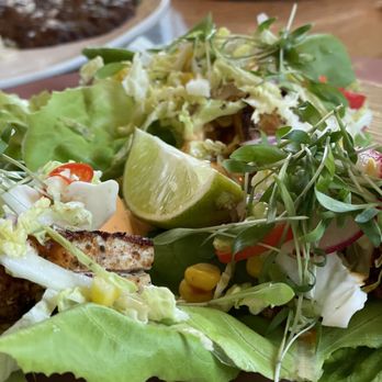 Maria's Mexican Kitchen - Fort Worth - Fish tacos, lettuce wraps instead of tortillas. - Mexican Near Me - Fort Worth, Texas