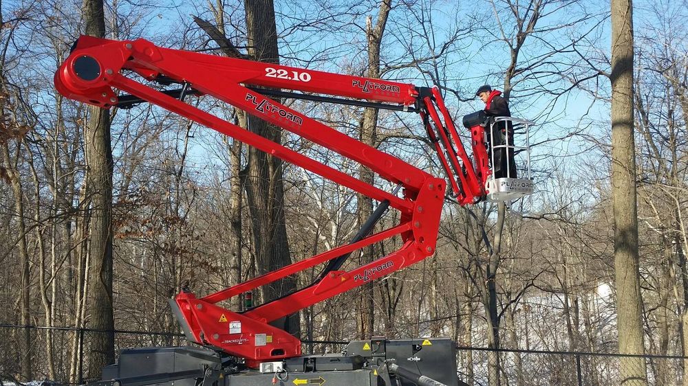 Economy Springfield Tree Service - tree service in Leland Grove, IL