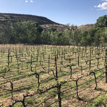 Page Springs Cellars - Massage Near Me - Cornville, Arizona