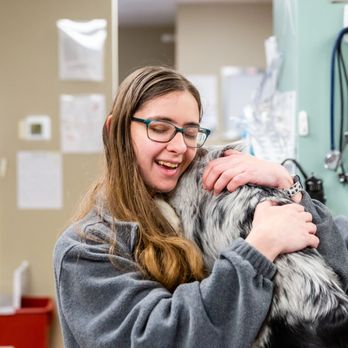 Phelps Veterinary Hospital - Veterinarians Near Me - Phelps, New York Phelps Veterinary Hospital - Veterinarians Near Me - Phelps, New York