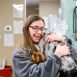 Phelps Veterinary Hospital