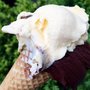 Photo of Gelateria Giova