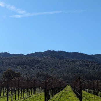 HALL Wines - Wineries Near Me - Saint Helena, California