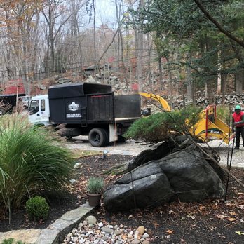Pulla Tree Service - Tree Services Near Me - Danbury, Connecticut