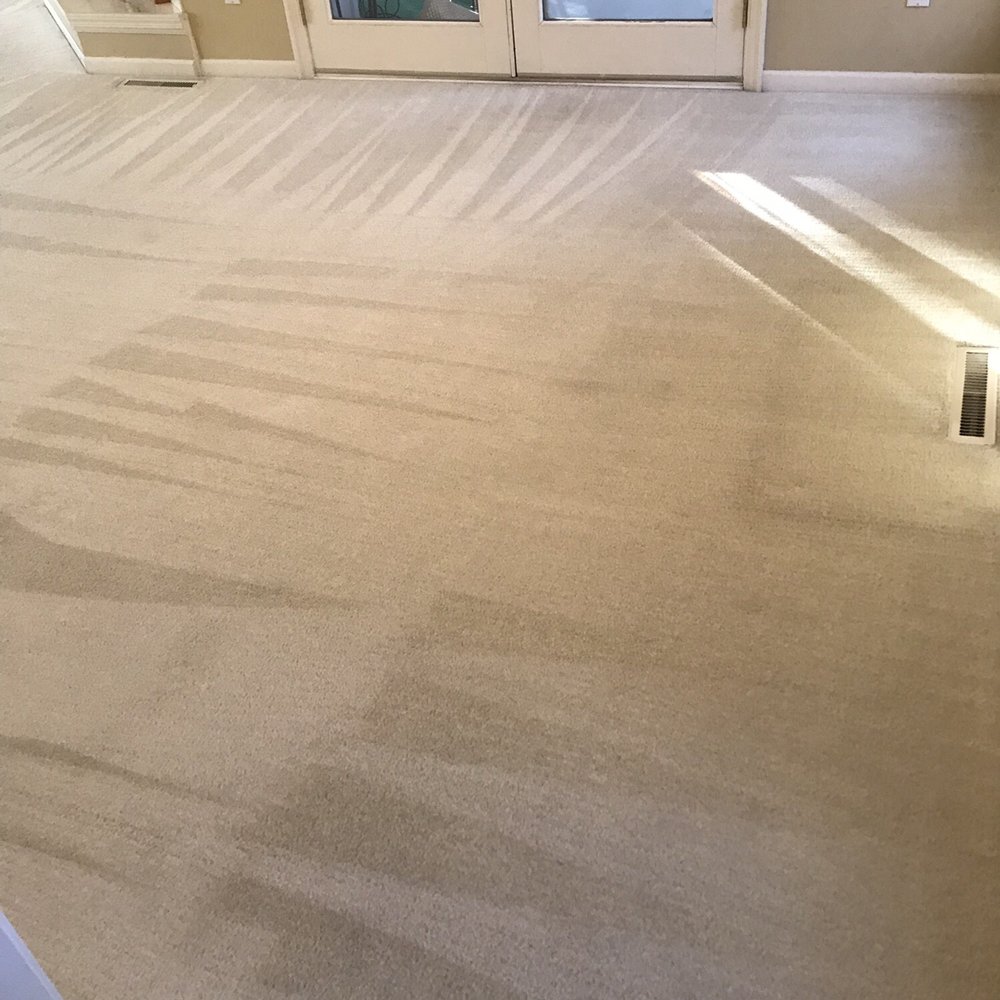 Steam Plus - Looks like an all new carpet! - Carpet Cleaning Near Me - Waunakee, Wisconsin Steam Plus - Looks like an all new carpet! - Carpet Cleaning Near Me - Waunakee, Wisconsin