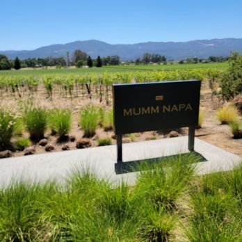 Mumm Napa - Wine Tasting Room Near Me - Rutherford, California Mumm Napa - Wine Tasting Room Near Me - Rutherford, California