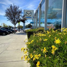 Exterior photo of Star Mazda - Glendale, California Exterior photo of Star Mazda - Glendale, California