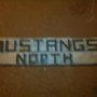 Photo of Mustangs North