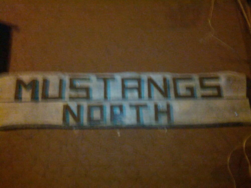 Mustangs North Logo