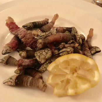 Mangia Qui - Percebes - Italian Near Me - Harrisburg, Pennsylvania Mangia Qui - Percebes - Italian Near Me - Harrisburg, Pennsylvania