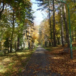 Park Górny im. Adama hrabiego Stadnickiego - Park Górny wyzłocony jesienią