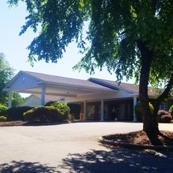 Forest Health and Rehab