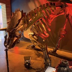 The DoSeum