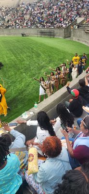 Harvard Stadium by null