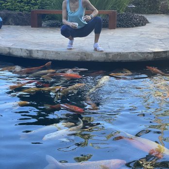 Beach Villas at Ko Olina - Feeding time - Resorts Near Me - Kapolei, Hawaii