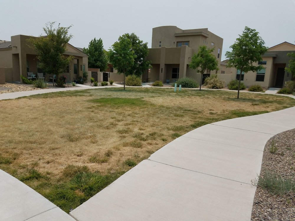 HEADS UP LANDSCAPE CONTRACTORS Updated September 2024 7525 2nd St