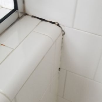 Park At West Ave - Black mold in the master bath. The leasing agent, Lori, said, "Oh, we'll just re-caulk it!" No biggie, huh? - Apartments Near Me - San Antonio, Texas Park At West Ave - Black mold in the master bath. The leasing agent, Lori, said, "Oh, we'll just re-caulk it!" No biggie, huh? - Apartments Near Me - San Antonio, Texas