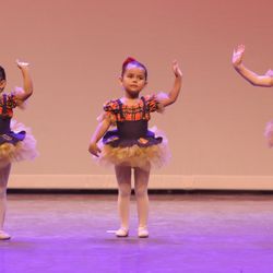 Pittsburg Performing Arts Academy