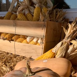 Countryside Market - What ever you need to decorate indoors or outdoors!