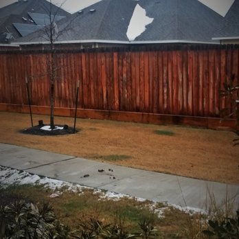 Vale Apartments - Dog feces - Apartments Near Me - Spring, Texas