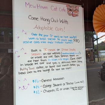 Mew Haven Cat Cafe - Mew Haven Cat Cafe, New Haven - Pet Adoption Near Me - New Haven, Connecticut Mew Haven Cat Cafe - Mew Haven Cat Cafe, New Haven - Pet Adoption Near Me - New Haven, Connecticut