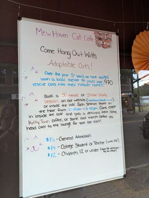 Menu photo 1 Mew Haven Cat Cafe New Haven, CT Menu photo 1 Mew Haven Cat Cafe New Haven, CT