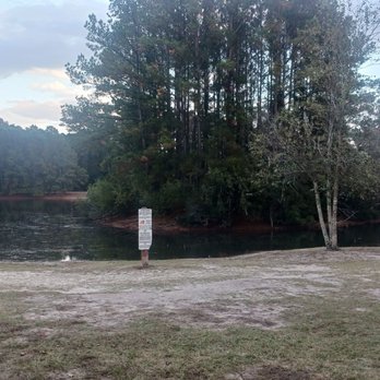 Barc Park - The island if your dog is a swimmer - Dog Parks Near Me - Myrtle Beach, South Carolina Barc Park - The island if your dog is a swimmer - Dog Parks Near Me - Myrtle Beach, South Carolina
