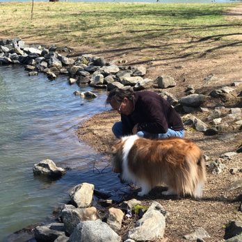 Frank Liske Park & Soccer Complex - My dog Learning to get a drink from the lake.... - Parks Near Me - Concord, North Carolina Frank Liske Park & Soccer Complex - My dog Learning to get a drink from the lake.... - Parks Near Me - Concord, North Carolina