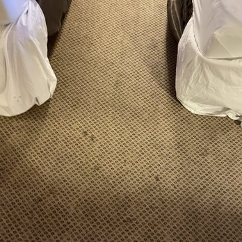 Econo Lodge - Econo Lodge @ Cortez, CO $150 p/ night ? - Hotels Near Me - Cortez, Colorado