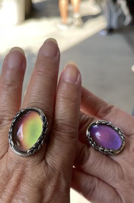 Flask & Field by null