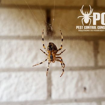 Pest Control Consultants - Pest Control Near Me - St. Charles, Illinois Pest Control Consultants - Pest Control Near Me - St. Charles, Illinois