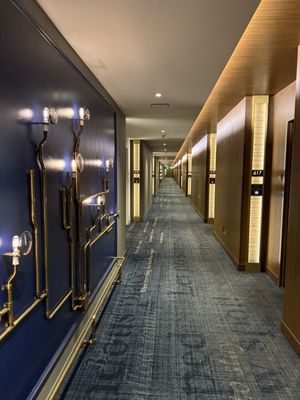 MGM Springfield by null