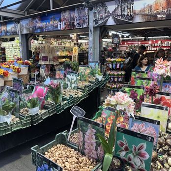 Amsterdam Flower Market - Florists Near Me - Amsterdam, New Hampshire