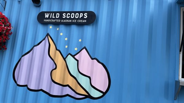 Wild Scoops by null