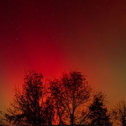 Ringwood State Park at Ringwood Manor - Enjoying the Northern Lights (aurora borealis) on 10/10/24 - photos by James Falletti