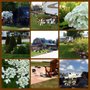 Photo of Toronto North / Cookstown KOA