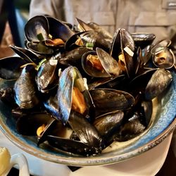 Fresh Galway Bay Mussels