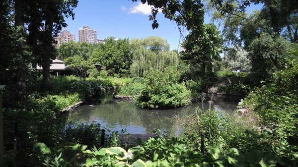 Lincoln Park by null