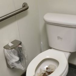 Walgreens - Handicap stall inside Walgreens public bathroom.