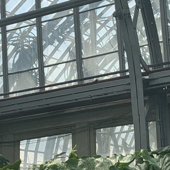 Garfield Park Conservatory - More plants - Parks Near Me - Chicago, Illinois
