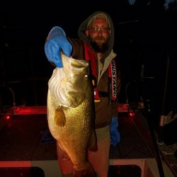 Santa Margarita Lake Marina - 11 lbs 3 oz Largemouth Bass