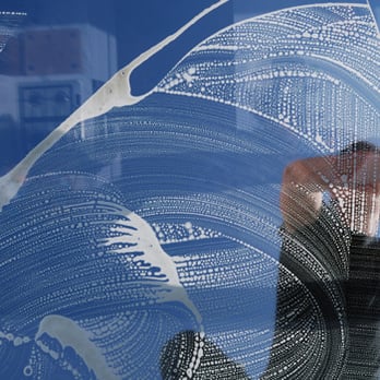 Pane Free Window Cleaning - Window Washing Near Me Pane Free Window Cleaning - Window Washing Near Me