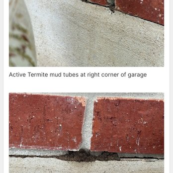 Stride Pest Control - Uh oh - Pest Control Near Me - Austin, Texas
